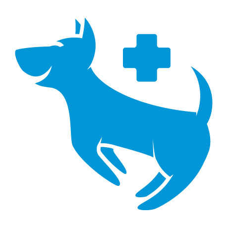 South Cranbourne Vet - Get to Know Our Team - Kelly Brown