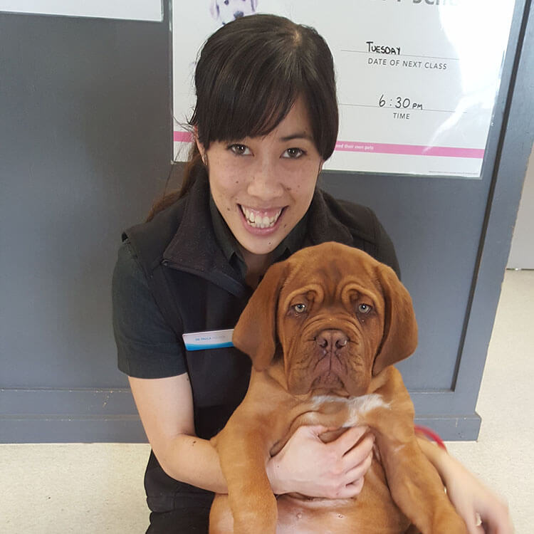 South Cranbourne Vet - Get to Know Our Team - Dr Paula & Lily